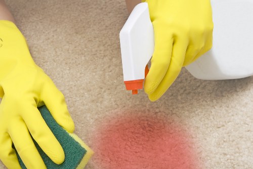 Clean carpet cleaning service in a bright living room