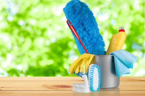 Professional move in cleaning in an empty home