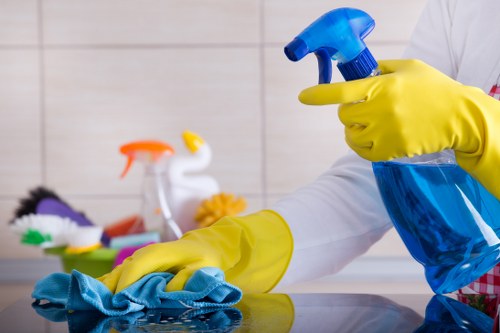 Bathroom cleaning supplies for a fresh home