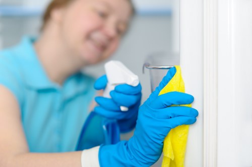 Professional mattress cleaning in a bedroom setting
