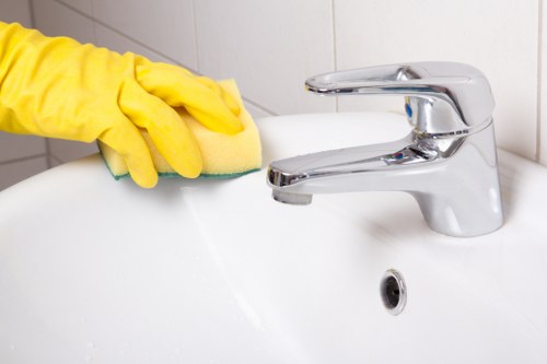 Bathroom sanitising and limescale removal in a rented home