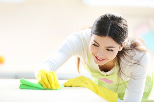 Detailed after builders cleaning of kitchen surfaces and fixtures