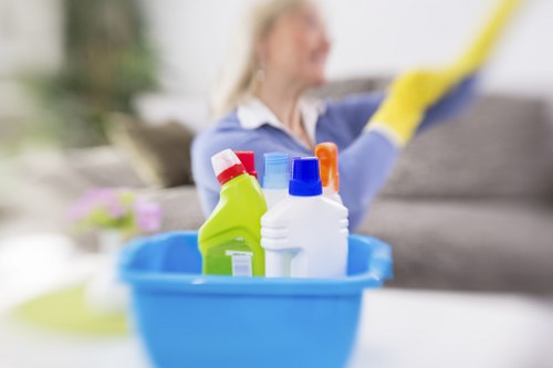 Professional domestic cleaning tools ready for use