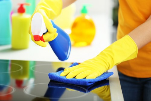 Professional cleaner maintaining a workplace environment