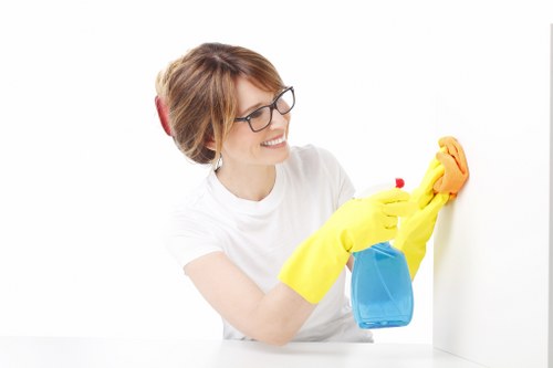 Cleaning supplies used for detailed deep cleaning tasks
